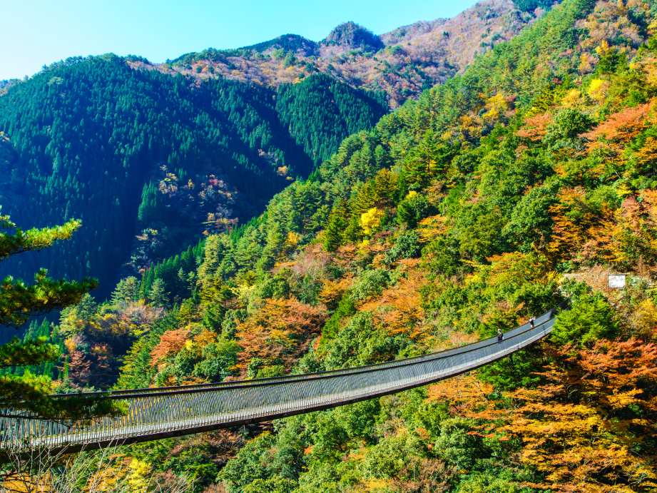 【2023最新】九州のおすすめ紅葉スポット30選