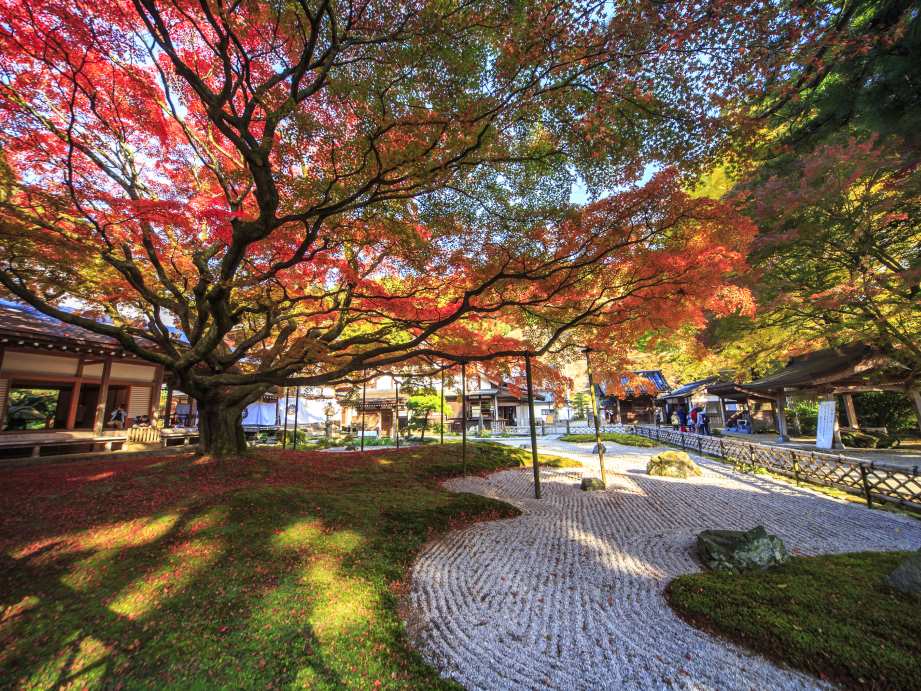 【2023最新】九州のおすすめ紅葉スポット30選