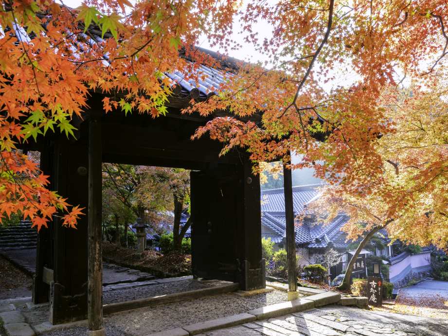 【2023最新】九州のおすすめ紅葉スポット30選