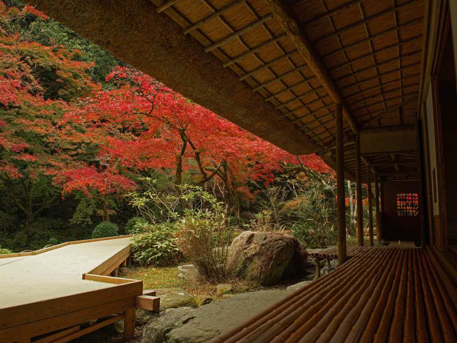 【2023最新】九州のおすすめ紅葉スポット30選