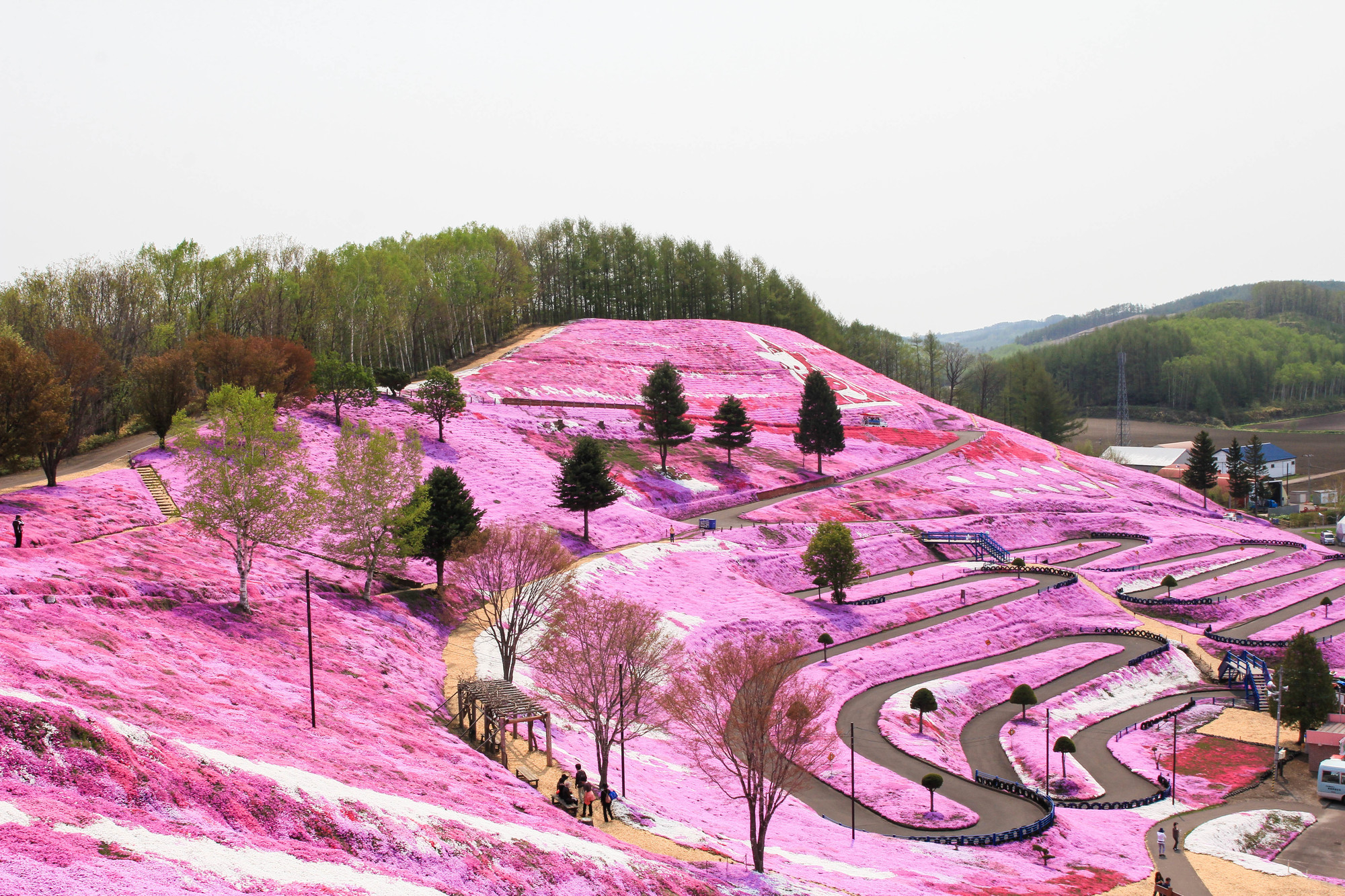 ひがしもこと芝桜公園