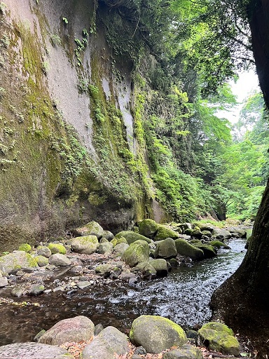 由布市を巡るスタンプラリー　温泉や峡谷など名所の魅力を探る