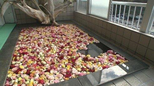 高知県34市町村のおすすめスポット34選！県民が選んだ場所は！？