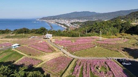 高知県34市町村のおすすめスポット34選！県民が選んだ場所は！？