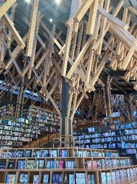 高知県34市町村のおすすめスポット34選！県民が選んだ場所は！？