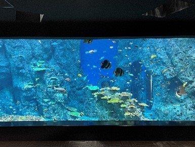 高知県34市町村のおすすめスポット34選！県民が選んだ場所は！？