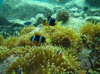 高知県34市町村のおすすめスポット34選！県民が選んだ場所は！？