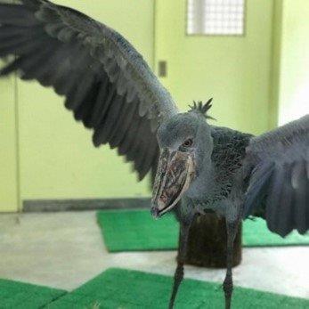 高知県34市町村のおすすめスポット34選！県民が選んだ場所は！？