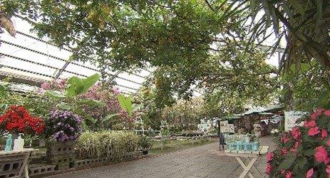 高知県34市町村のおすすめスポット34選！県民が選んだ場所は！？