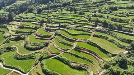 高知県34市町村のおすすめスポット34選！県民が選んだ場所は！？