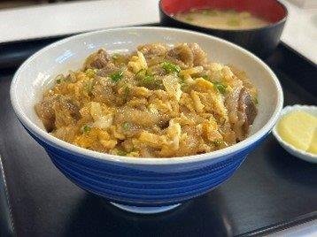 高知県34市町村のおすすめスポット34選！県民が選んだ場所は！？