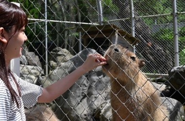 高知生活 1 年目の新入社員。初めての桂浜水族館をリポート！！