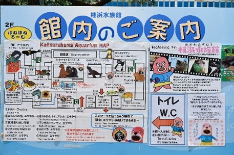 高知生活 1 年目の新入社員。初めての桂浜水族館をリポート！！