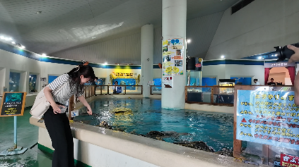 高知生活 1 年目の新入社員。初めての桂浜水族館をリポート！！