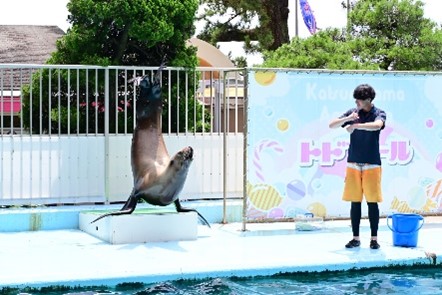 高知生活 1 年目の新入社員。初めての桂浜水族館をリポート！！
