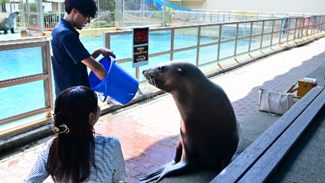 高知生活 1 年目の新入社員。初めての桂浜水族館をリポート！！