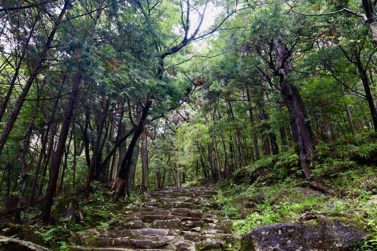 標高約80mの神倉山