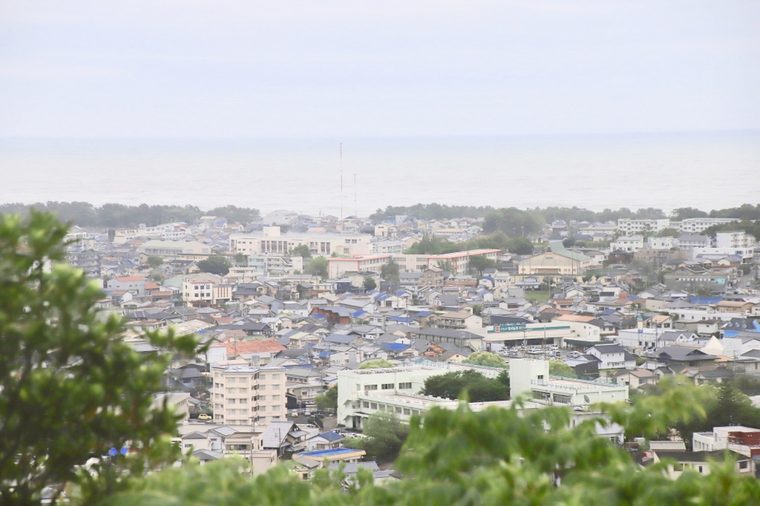 神倉神社から新宮市を一望