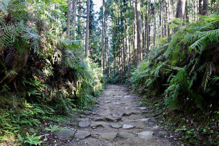 熊野古道