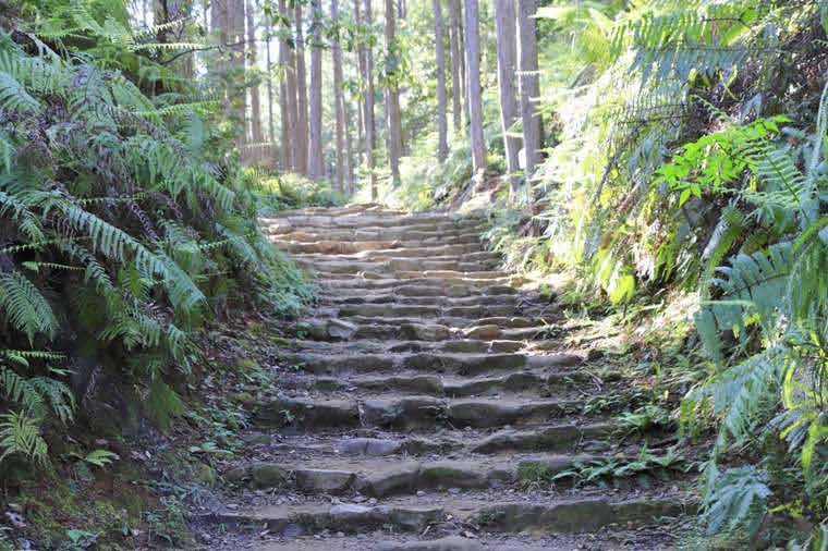 熊野古道の石段