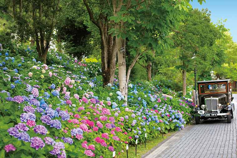 ハウステンボス