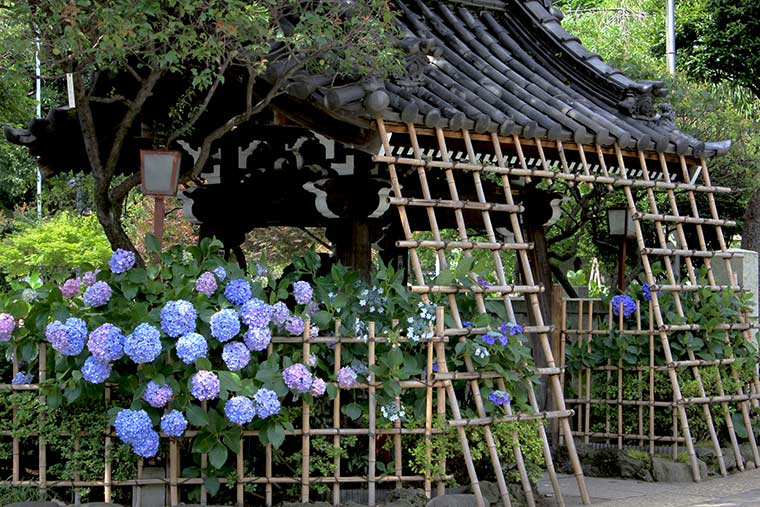 白山神社（はくさんじんじゃ）