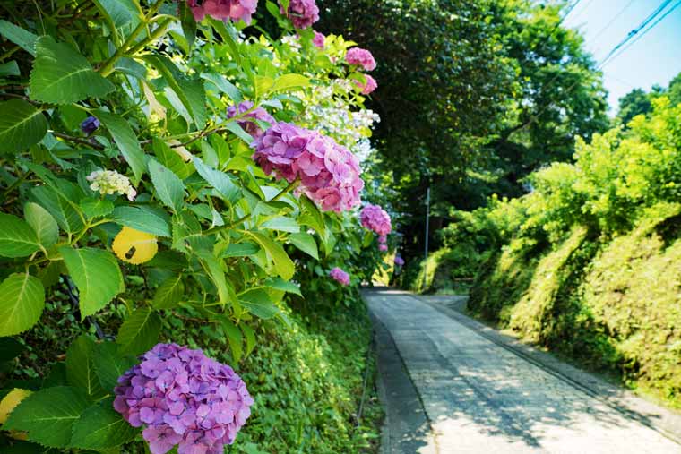 亀ヶ谷坂切通し