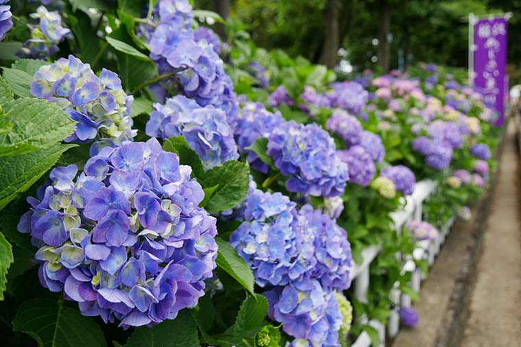 大塚性海寺歴史公園