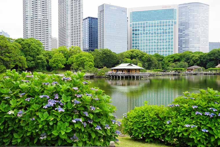 浜離宮恩賜庭園