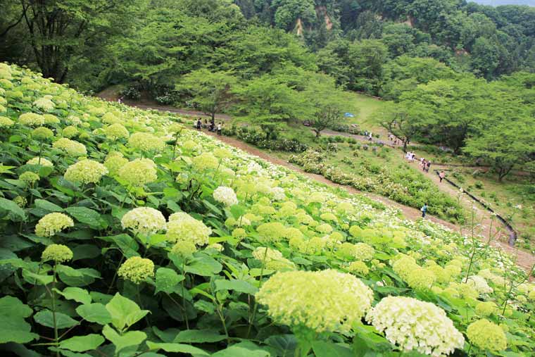 わんダフルネイチャーヴィレッジ（東京サマーランド）