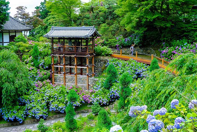善峰寺（よしみねでら）