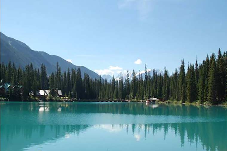コロンビア大氷原