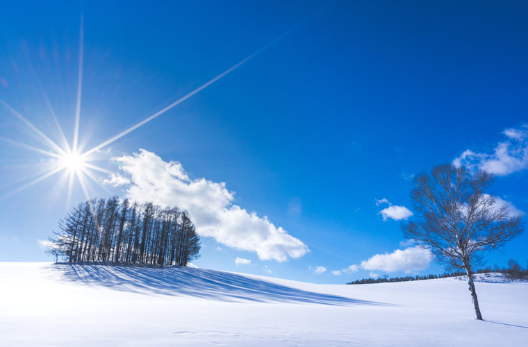マイルドセブンの丘