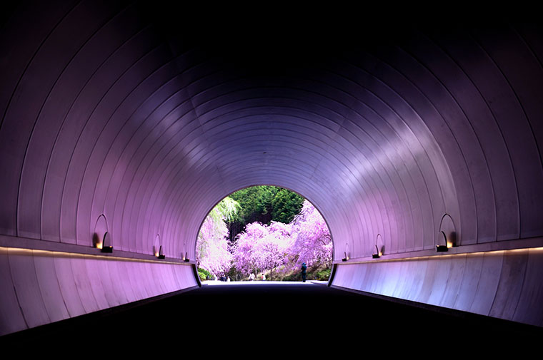 MIHO MUSEUM