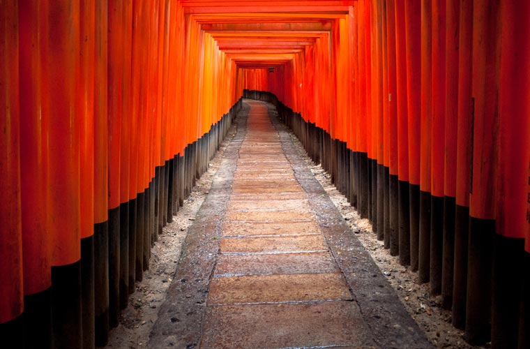 伏見稲荷大社の千本鳥居