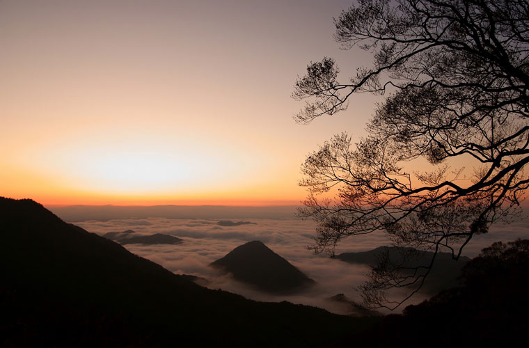 大江山の雲海