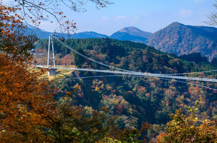 九重“夢”大吊橋