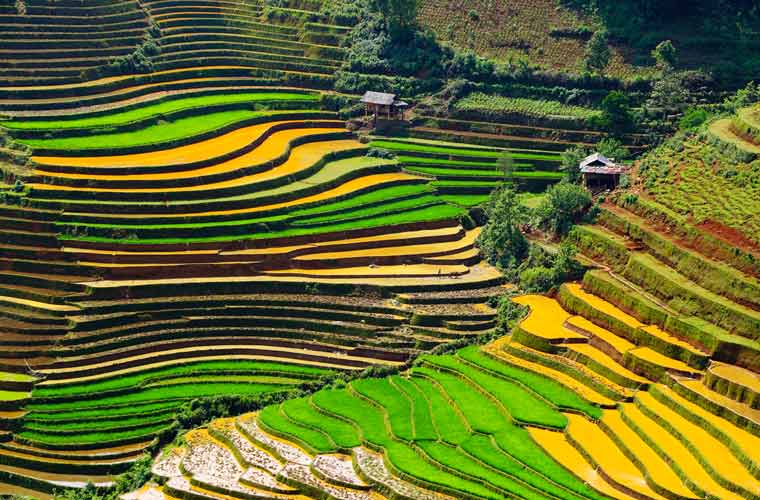 サパ・ムーカンチャイ