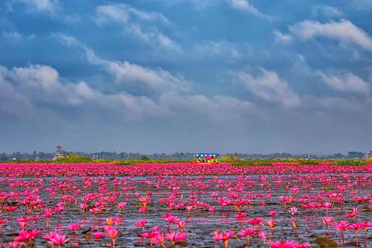紅い睡蓮の海(タレー・ブア・デーン / 正式名:ノーンハーン)