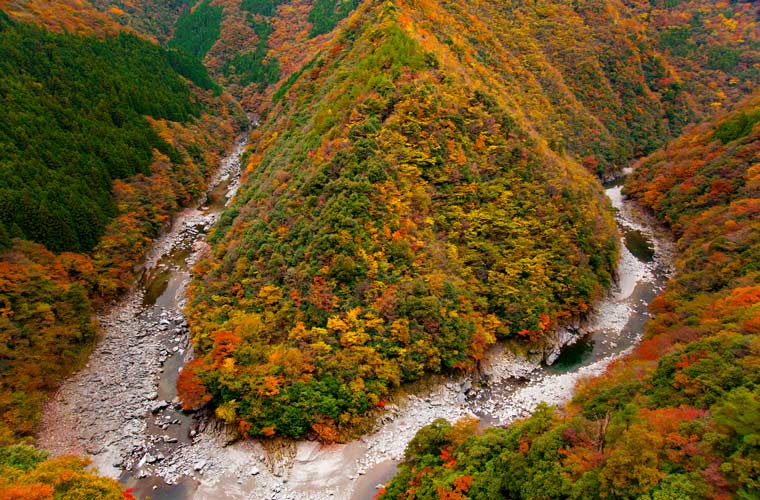 祖谷渓(祖谷渓谷)