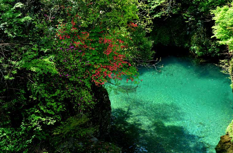 仁淀川・にこ淵