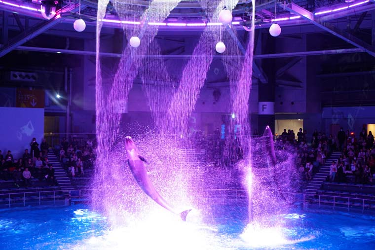 マクセル アクアパーク品川