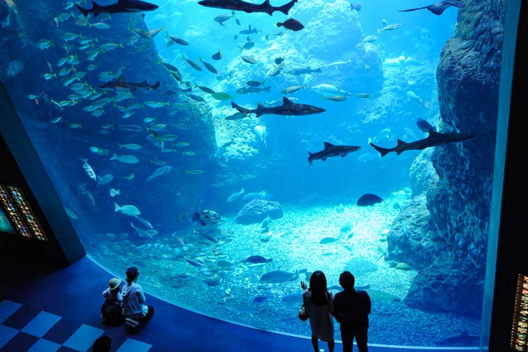 新江ノ島水族館