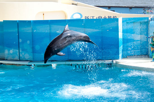 新江ノ島水族館
