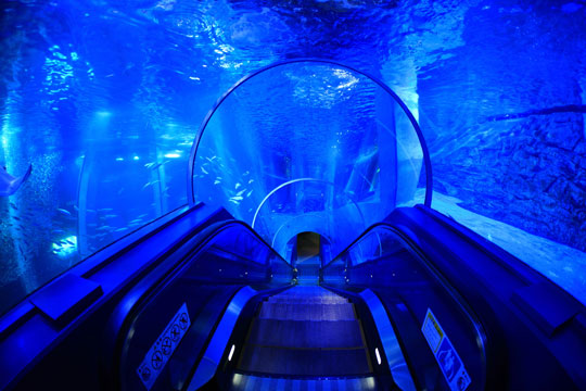 横浜・八景島シーパラダイス