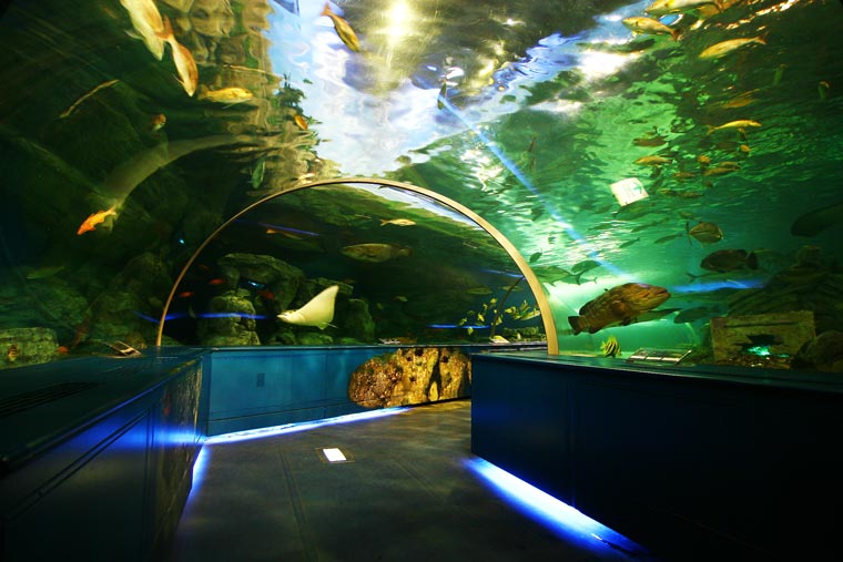 しながわ水族館