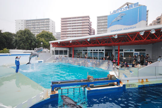 しながわ水族館