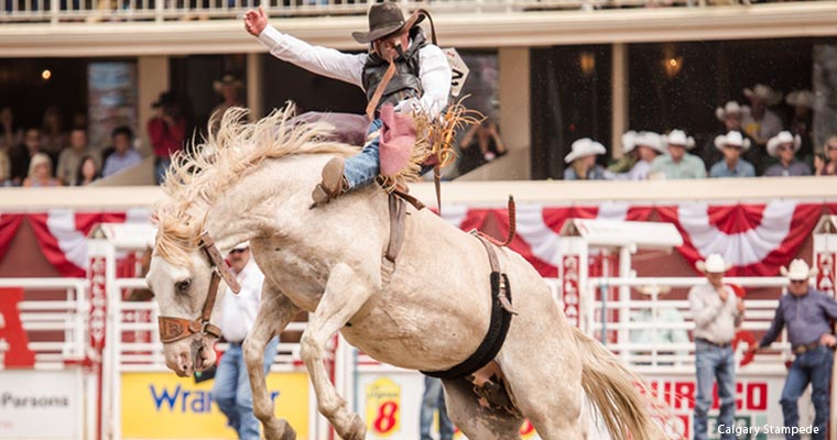 Calgary Stampede