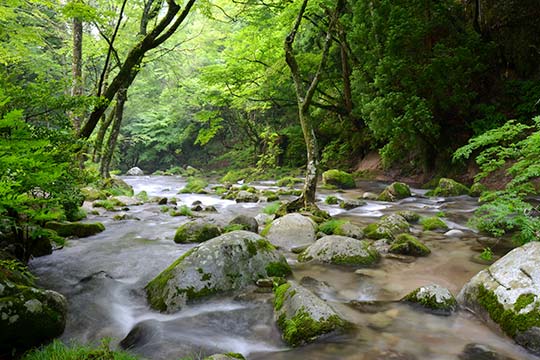 花貫渓谷
