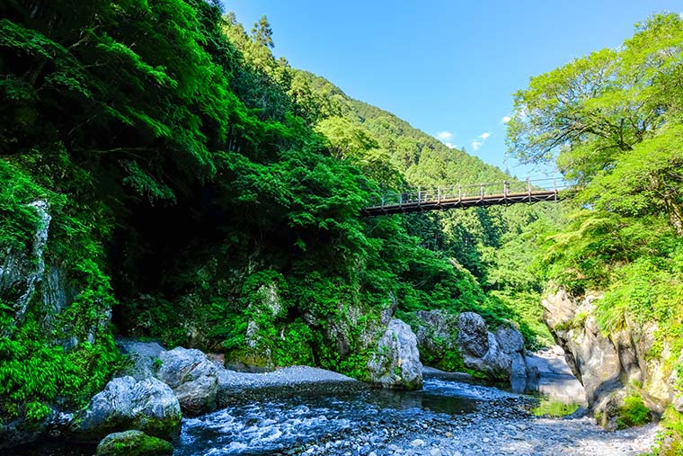 鳩ノ巣渓谷（はとのすけいこく）